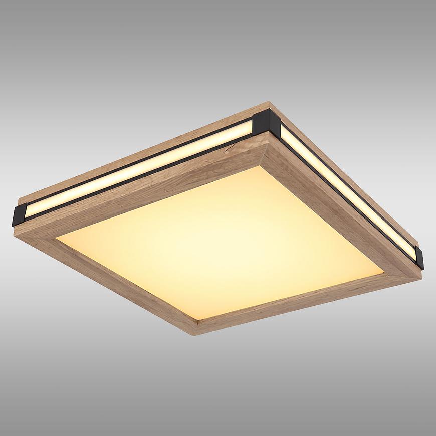 Stropní svítidlo 41589D1 LED 12W PL1 Baumax