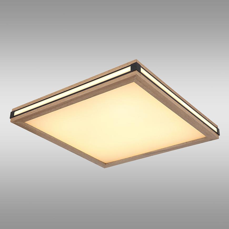 Stropní svítidlo 41589D2 LED PL1 Baumax